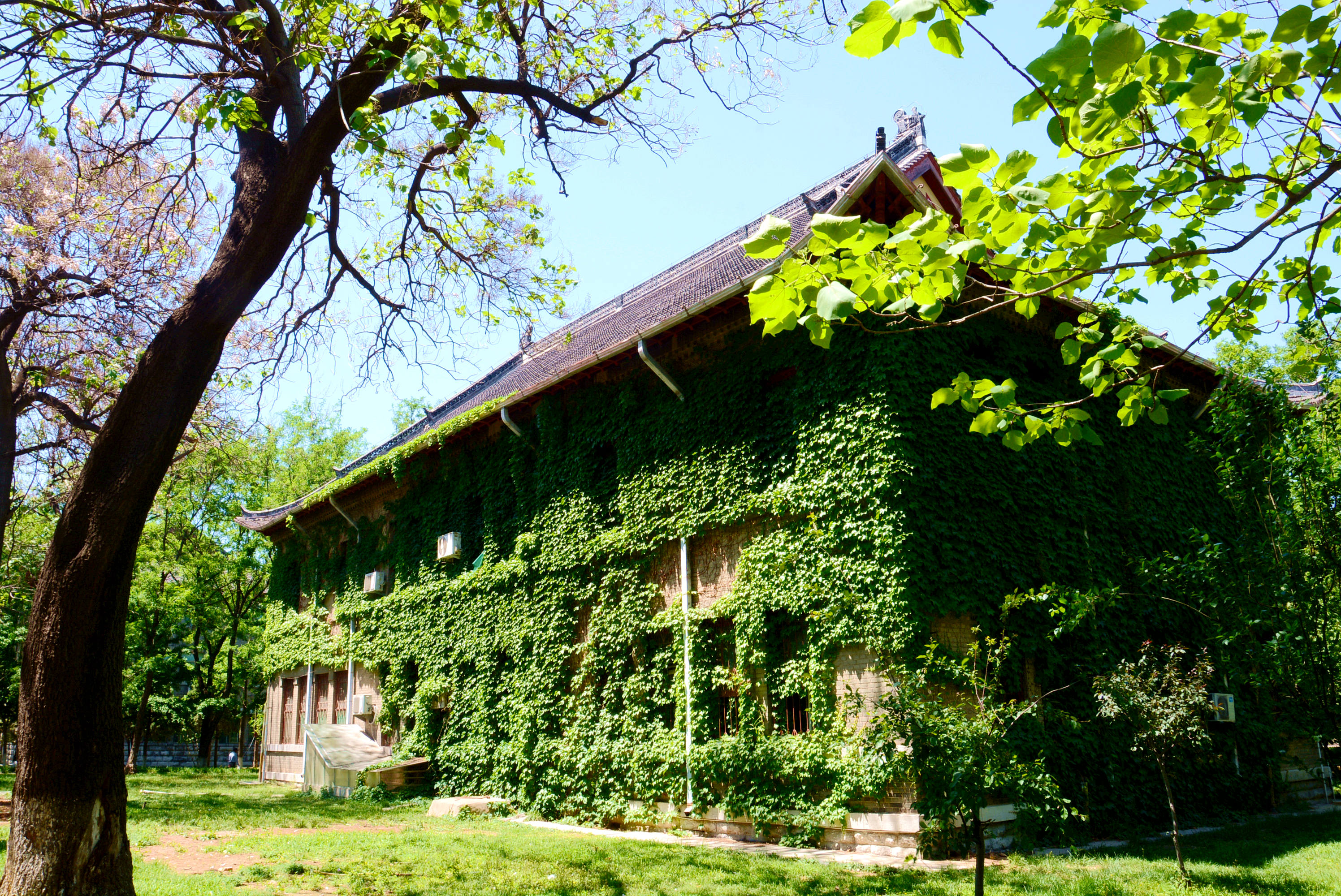 趵突泉校区-山东大学齐鲁医学院