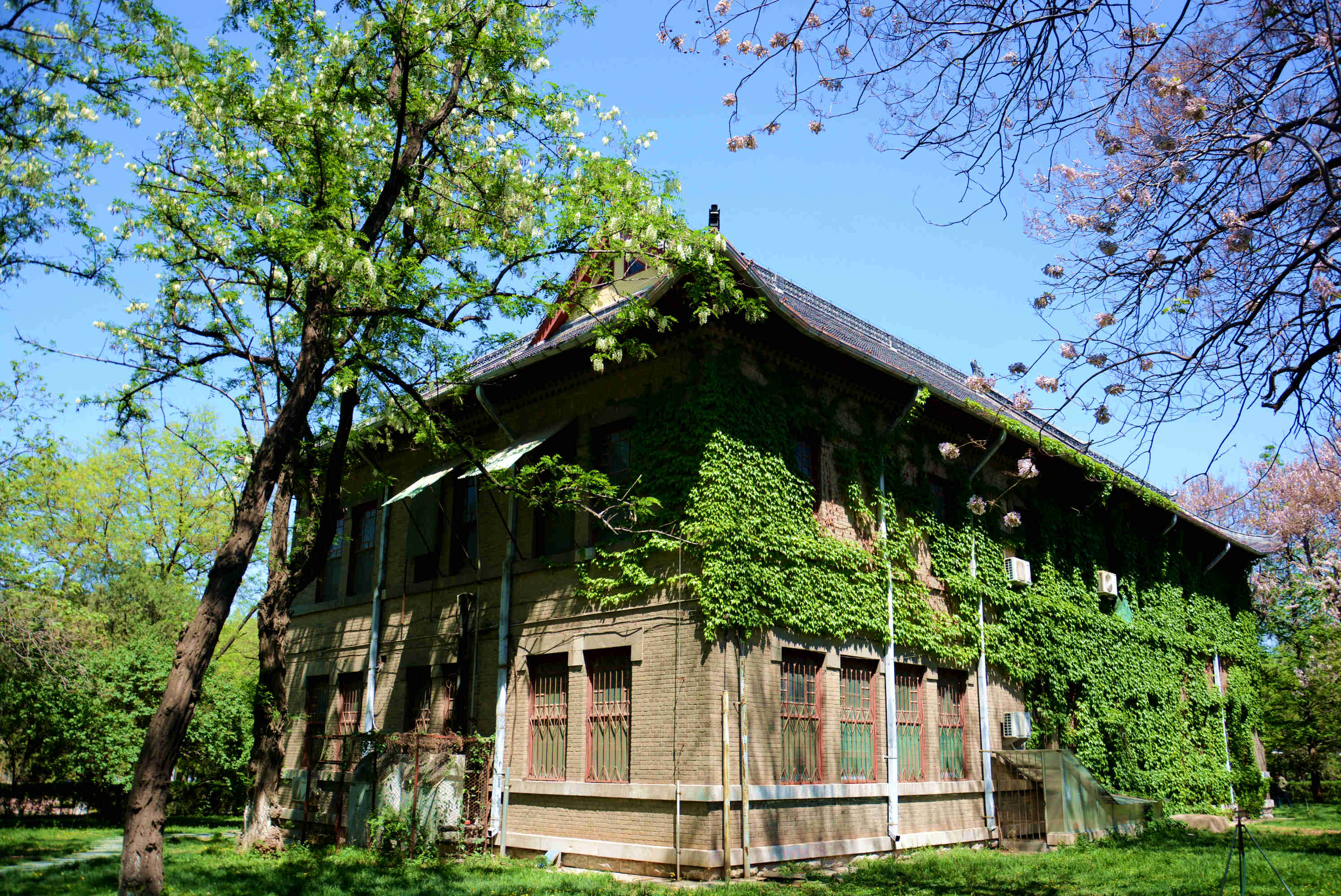 趵突泉校区-山东大学齐鲁医学院